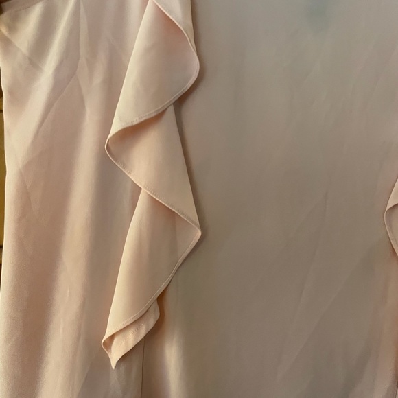 Eloquii Sheer Pink Blouse with Ruffles and trim tie size 14 - Picture 5 of 8